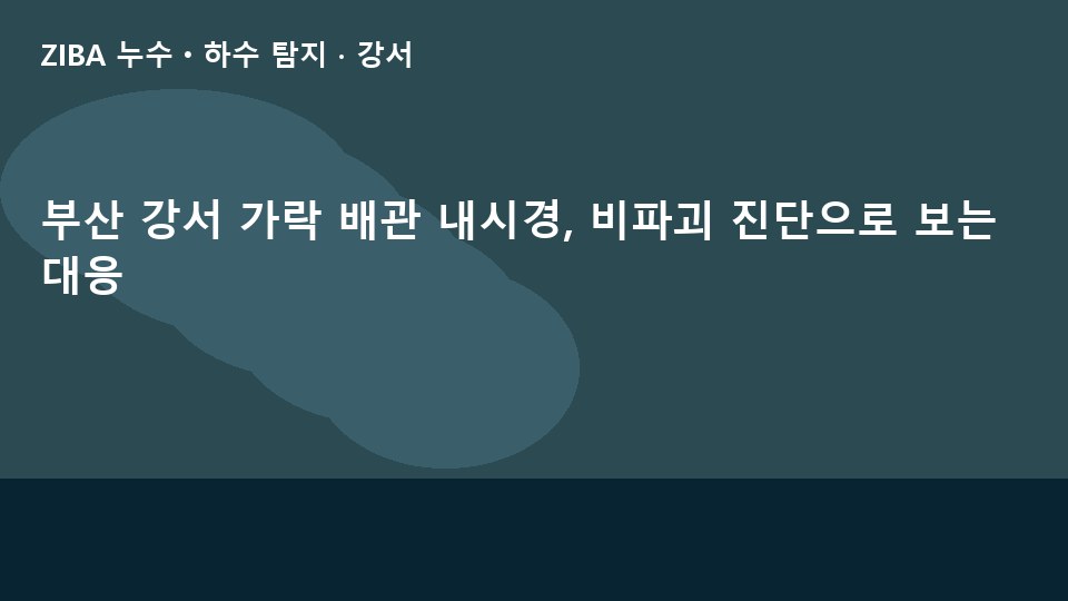 부산 강서 가락 배관 내시경, 비파괴 진단으로 보는 대응
