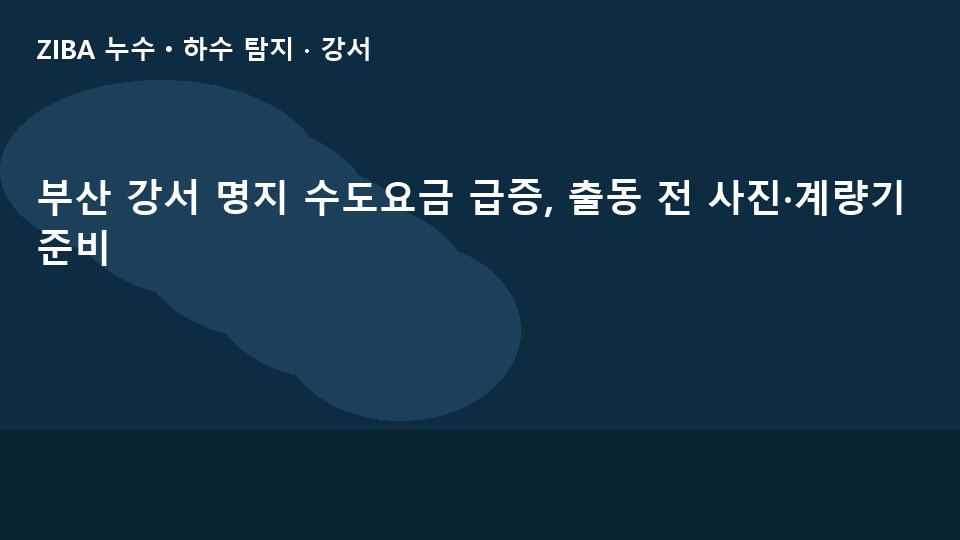 부산 강서 명지 수도요금 급증, 출동 전 사진·계량기 준비