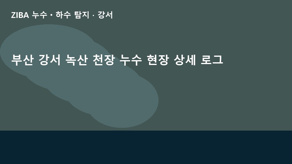 부산 강서 녹산 천장 누수 현장 상세 로그