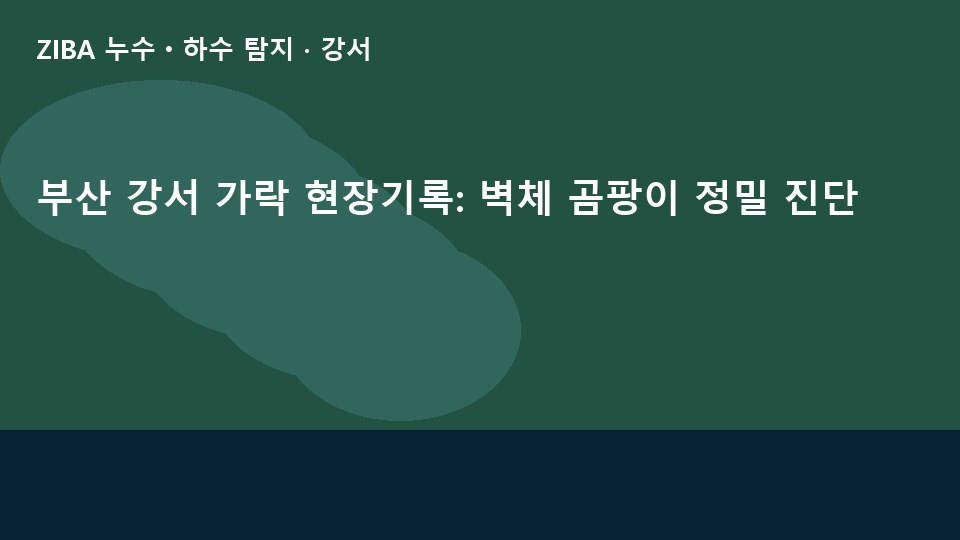 부산 강서 가락 현장기록: 벽체 곰팡이 정밀 진단