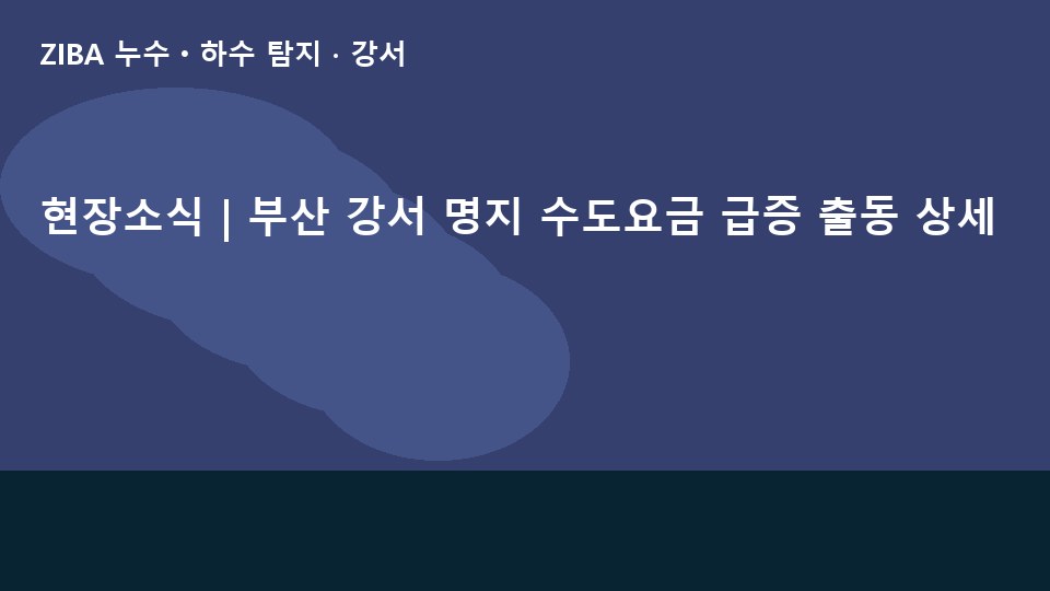 현장소식 | 부산 강서 명지 수도요금 급증 출동 상세